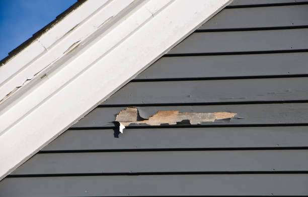 Best Demolition Debris Removal  in Haslet, TX